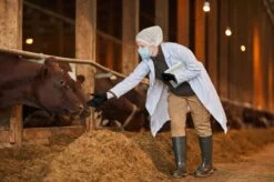 ANSELL MICROFLEX® 93-732 - Nitril Wegwerp Handschoenen, Latexvrij, Poedervrij, S, Zwart, 100 Stuks (0.7-0.11mm) -Bol. 1200x799 65